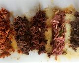 Foto del paso 2 de la receta: Croquetas de compango de pote asturiano
