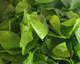 รูปขั้นตอนการทำที่ 1 ของ ผักหวานป่าผัดไข่