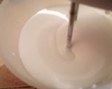 A picture of step 5 of Watermelon Sorbet.