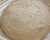 A picture of step 7 of Pain de Campagne With Lots of Whole Wheat Flour.