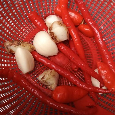 Langkah 1