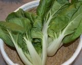 Une image de l'étape 2 de Noodles poulet spoon Pak-choiInspiration Thaïe.