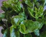 A picture of step 1 of Chinese Stir-Fried Malabar Spinach (Tsuru-Murasaki).