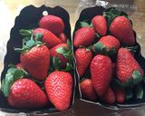 Foto del paso 1 de la receta 31. Fresas con leche