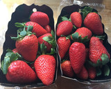 Foto del paso 1 de la receta: 31. Fresas con leche