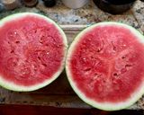 A picture of step 2 of Watermelon and Rosemary Lemonade - Aguas Frescas!.