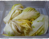 A picture of step 6 of Korean Kimchi from the Source.