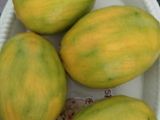 Mango smothies 🍹(no sugar)