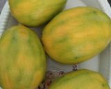 Foto langkah ke 1 dari resep Mango smothies 🍹(no sugar).