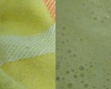 Foto langkah ke 5 dari resep Terang bulan pandan.