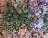 A picture of step 1 of Vickys Pork & Bacon Burgers, GF DF EF SF NF.