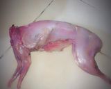 صورة لخطوة 1 من وصفة ارنب مشوي