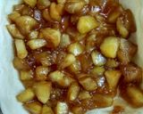 A picture of step 4 of Apple pie.