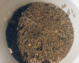 Foto del paso 1 de la receta: Lentejas estofadas!😜