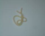 Foto del paso 2 de la receta: Espaguetis con setas