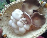 A picture of step 1 of Baked mushroom.