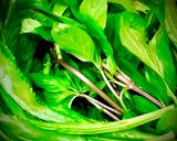 A picture of step 4 of Saigon Beef Pho (Phở Bò Sài Gòn).