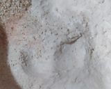 Foto del paso 1 de la receta: Pan Sin Amasado Sin Harina Sin Tacc