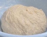 A picture of step 2 of Whole Wheat Pain de Campagne.