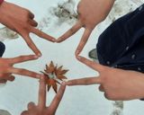 عکس مرحله 4 از دستور کیک هویج و گردو