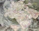 Foto langkah ke 3 dari resep Sup Sawi Putih Tahu Putih.