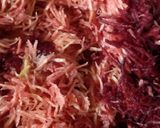 ગાજર બીટ હલવો (Carrot Beet Halwo Recipe in Gujarati) રેસીપી સ્ટેપ1ફોટો