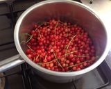 A picture of step 2 of Redcurrent jelly.