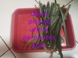 Risol sosis mayo