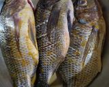 Foto langkah ke 2 dari resep Ikan Nila Goreng Garing.