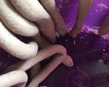 Hình bước làm 4 của món Trân châu đường đen