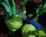 A picture of step 1 of White Kohlrabi.