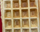 Foto del paso 3 de la receta: Waffles dulces 🧇