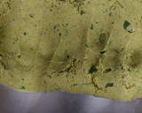 मेथी की पूरी (methi ke poori recipe in Hindi) रेसिपी चरण 3 फोटो