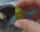 Foto langkah ke 1 dari resep Ikan Goreng Sambel Kecap.