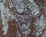 Foto del paso 1 de la receta: Brownie Sin Tacc