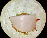 Foto del paso 10 de la receta: Wraps