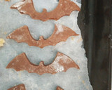 Foto del paso 6 de la receta: Galletitas Halloween: murciélagos terroríficos de chocolate