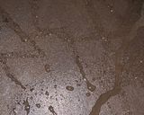 Foto langkah ke 4 dari resep Ayam Geprek Oatmeal: Enak & Sehat.