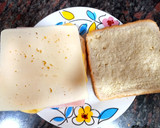 Foto del paso 4 de la receta: Sándwich mixto con tortilla