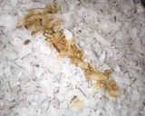 Coconut Flakes/kwakumetimatakin girki2 hoto