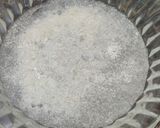 A picture of step 1 of Isabgol Drink | Isabgol Sharbat.