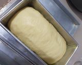 Foto langkah ke 6 dari resep No knead White Bread (Roti Tawar Tanpa Ulen).
