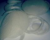 Foto del paso 8 de la receta: HU3RAz♡Quesadillas de Flor de Calabaza