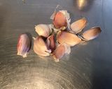 Une image de l'étape 1 de Farce à la méridionale pour poissons (tomates séchées,origan et ail fumé).