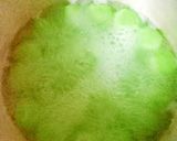 Foto langkah ke 3 dari resep Klepon Tepung Ketan.