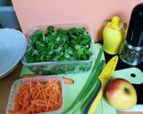 Salat aus Möhre Frühlingszwiebel und Feldsalat Rezeptschritt 1 Foto
