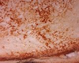 A picture of step 4 of Malai sandwich.