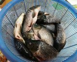 Foto langkah ke 2 dari resep Pindang ikan mas gurih bebas MSG.