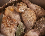 Foto del paso 5 de la receta: Pollo guisado en salsa de cebolla y cerveza