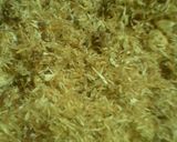 A picture of step 2 of Powder milk coconut flakes.